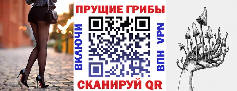где продают   Краснокамск  Псилоцибиновые грибы GOLDEN TEACHER 